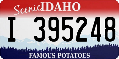 ID license plate I395248