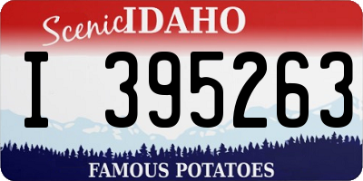 ID license plate I395263