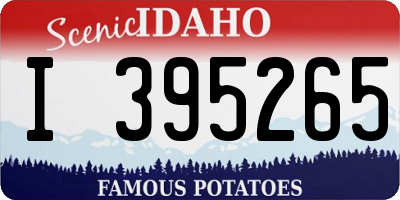 ID license plate I395265