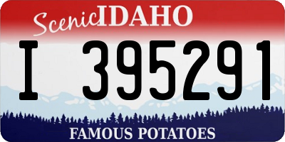 ID license plate I395291