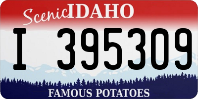 ID license plate I395309