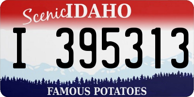 ID license plate I395313