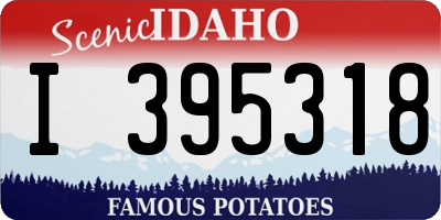 ID license plate I395318