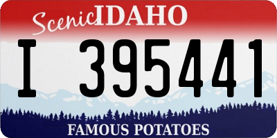 ID license plate I395441
