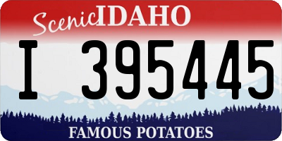 ID license plate I395445