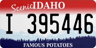 ID license plate I395446
