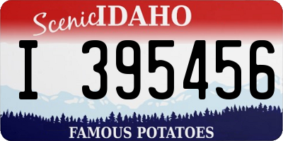 ID license plate I395456