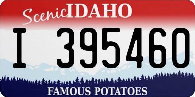 ID license plate I395460