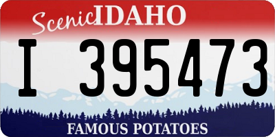 ID license plate I395473