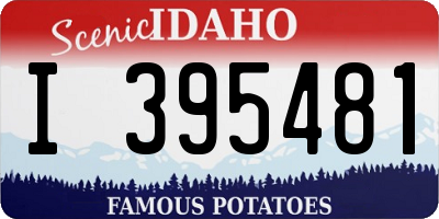 ID license plate I395481