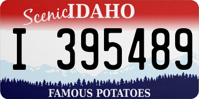 ID license plate I395489