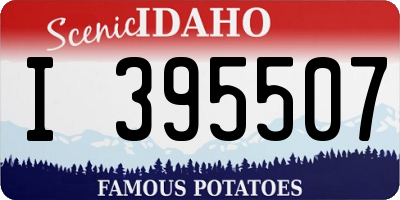 ID license plate I395507