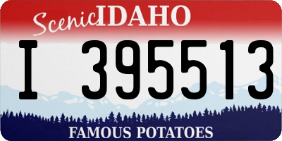 ID license plate I395513