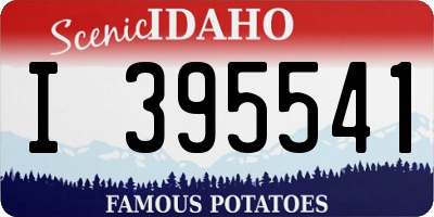 ID license plate I395541