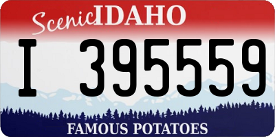 ID license plate I395559