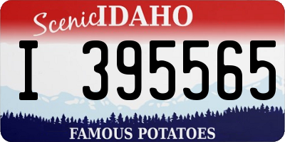 ID license plate I395565