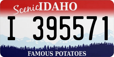 ID license plate I395571