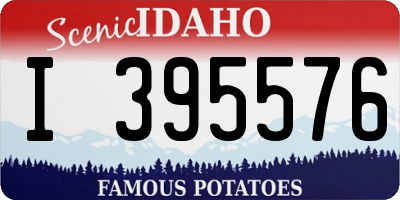 ID license plate I395576