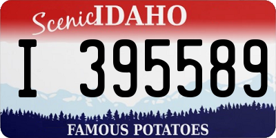 ID license plate I395589