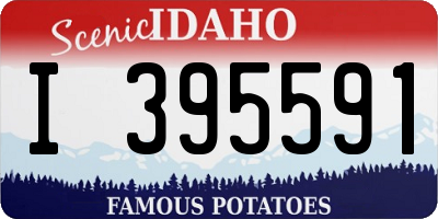 ID license plate I395591