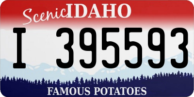 ID license plate I395593