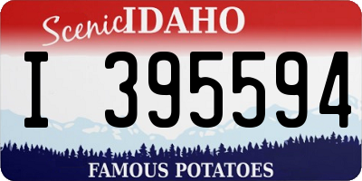 ID license plate I395594
