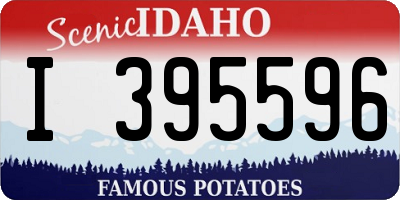 ID license plate I395596