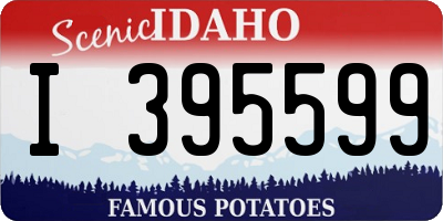 ID license plate I395599