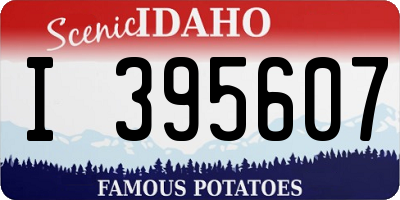 ID license plate I395607