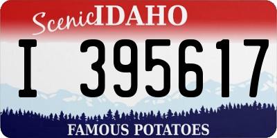 ID license plate I395617