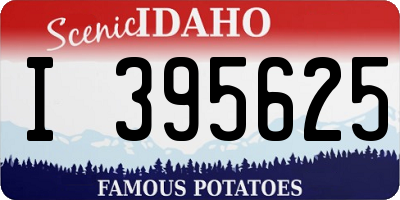 ID license plate I395625