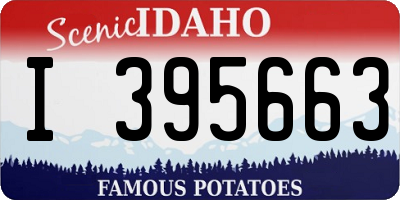 ID license plate I395663