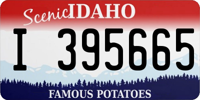ID license plate I395665