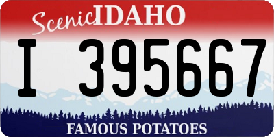 ID license plate I395667