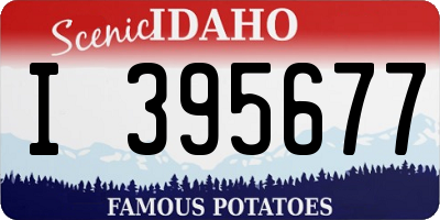 ID license plate I395677