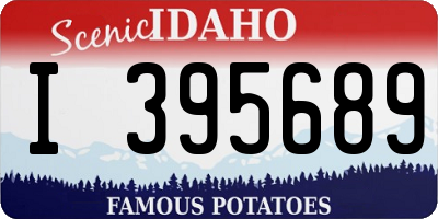 ID license plate I395689