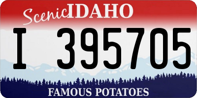ID license plate I395705