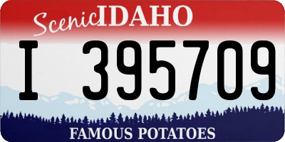 ID license plate I395709