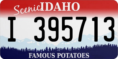 ID license plate I395713