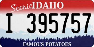 ID license plate I395757