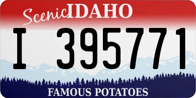 ID license plate I395771