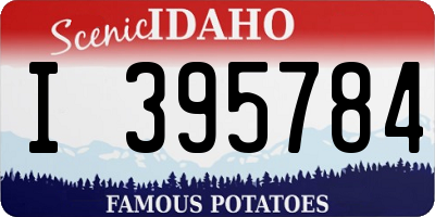 ID license plate I395784