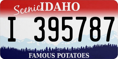 ID license plate I395787