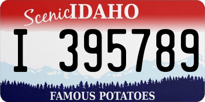 ID license plate I395789