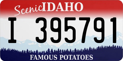 ID license plate I395791
