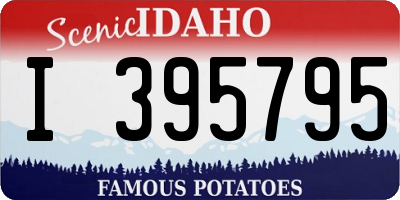 ID license plate I395795