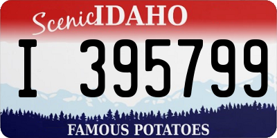 ID license plate I395799