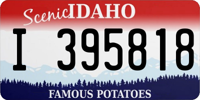 ID license plate I395818
