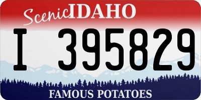 ID license plate I395829