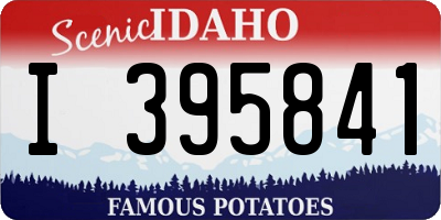 ID license plate I395841